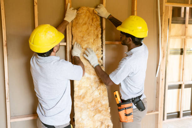 Best Radiant Barrier Insulation  in Lincoln Park, MI